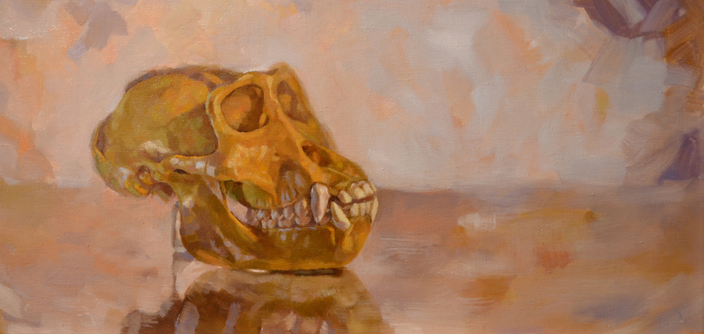 Gorilla Skull, Oil on Linen, 12” x 24”