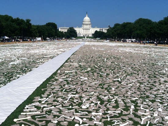 An installation of handmade bones laid out on the National Mall. Photo by Simone Pathe; referenced from pbs.org.