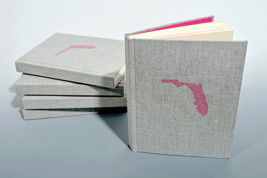 A Guide to Florida 2016