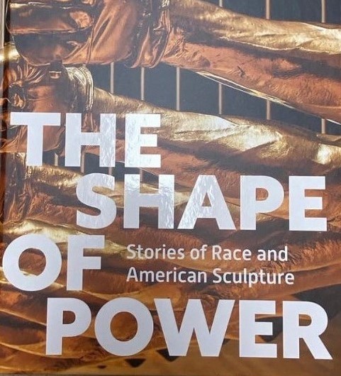 978 cover of the shape of power stories of race and american sculpture