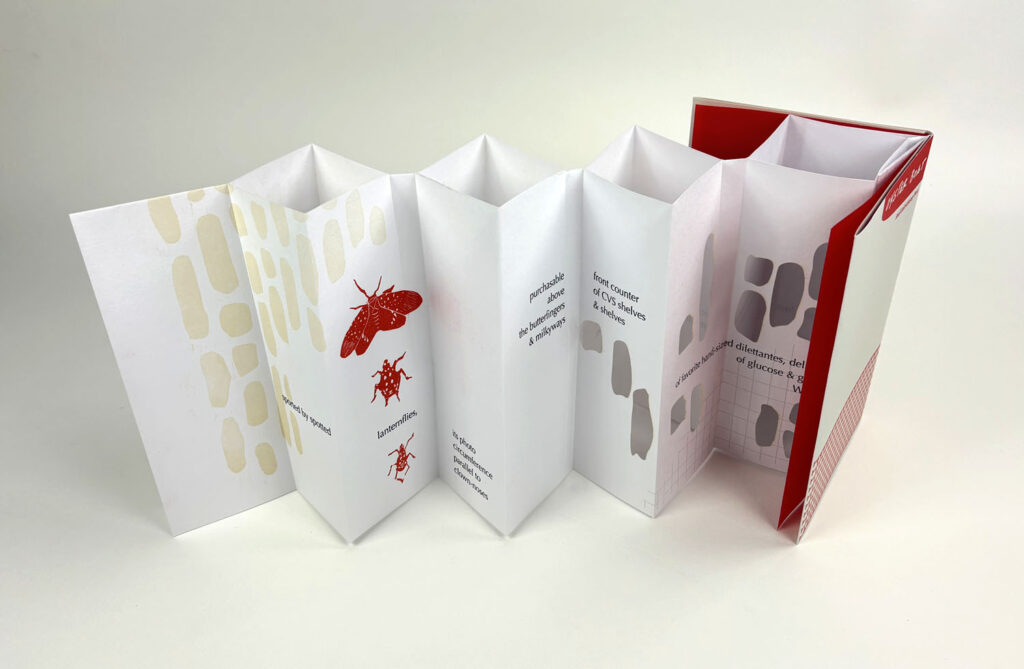 there is a folded book with a picture of a bug on it