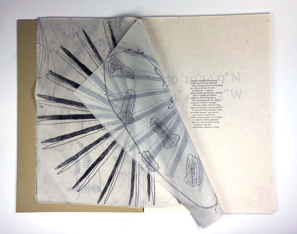there is an open book with a drawing of a kite on it