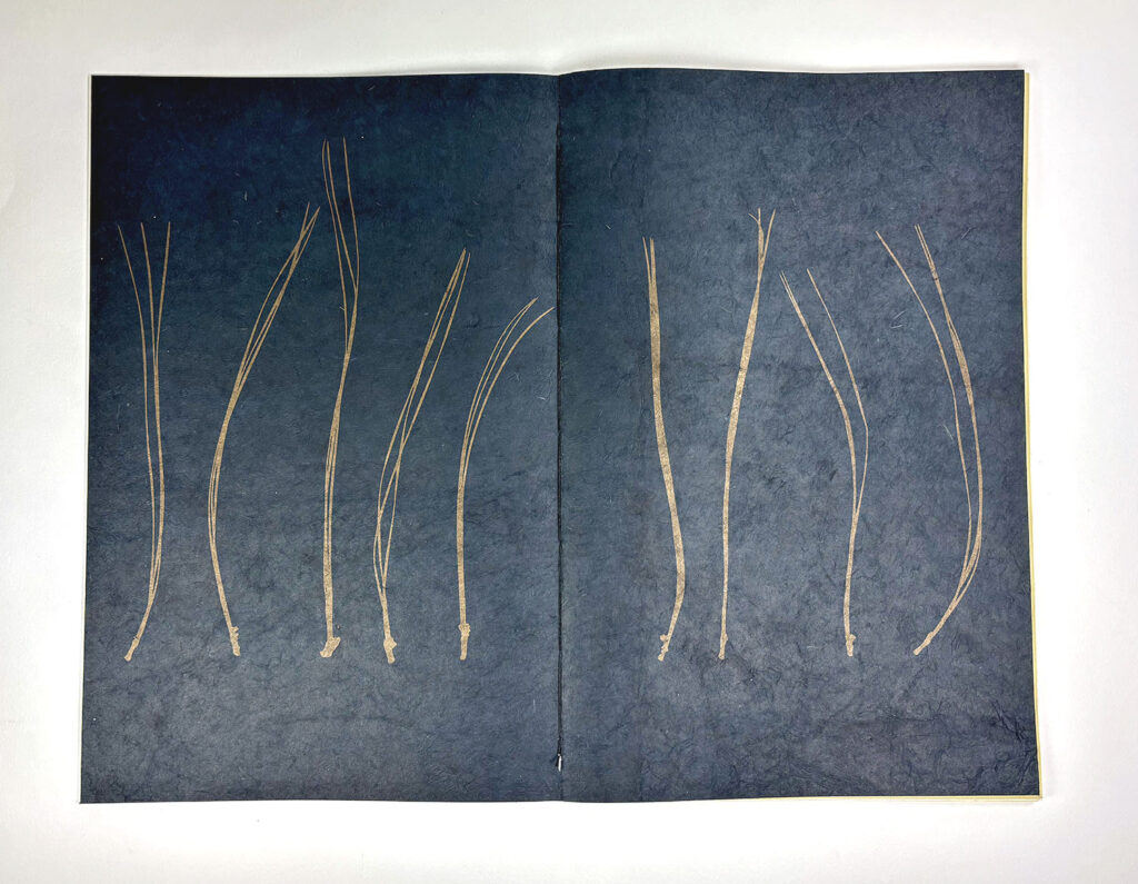 there is a picture of a book with a picture of grass on it