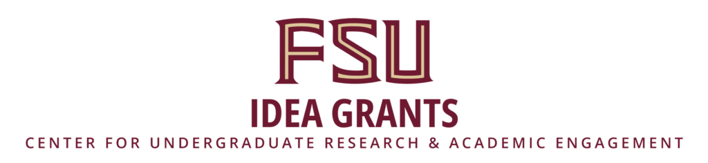 FSU Idea Grants Logo