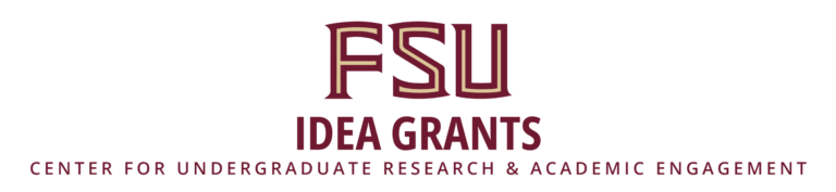 FSU Idea Grants Logo